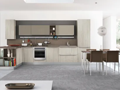 Cucina Moderna Gayla Olmo Grigio di Creo