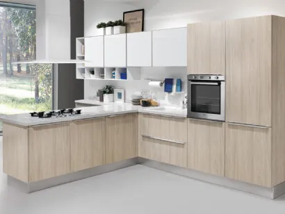 Cucina Moderna Gayla finitura Olmo Grigio e Laccato Bianco di Creo